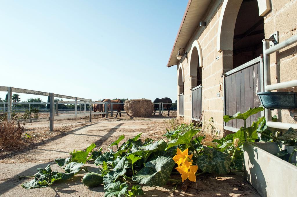 Amaregold Tenuta La Baronessa Resort Tuglie Zewnętrze zdjęcie
